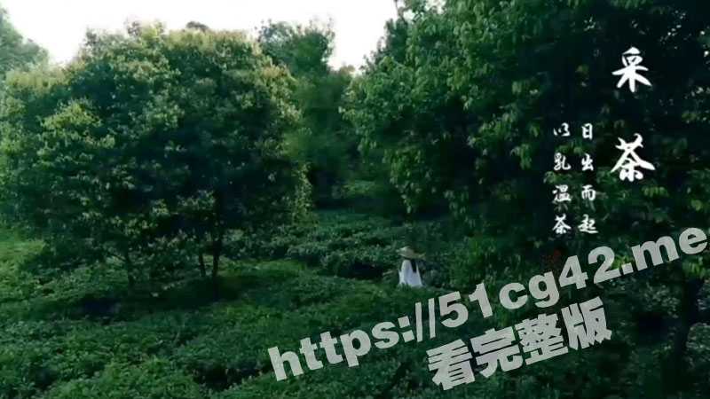乳茶！高端的食材只需简单的烹饪 巨乳少妇漫步在茶田间 将刚采摘的茶叶用母乳浸泡！-51吃瓜网