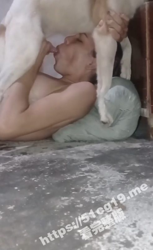 活得不如狗！狗子的小口红被妹子舔舒服后 开启泰迪模式 开始疯狂抽插！-51吃瓜网