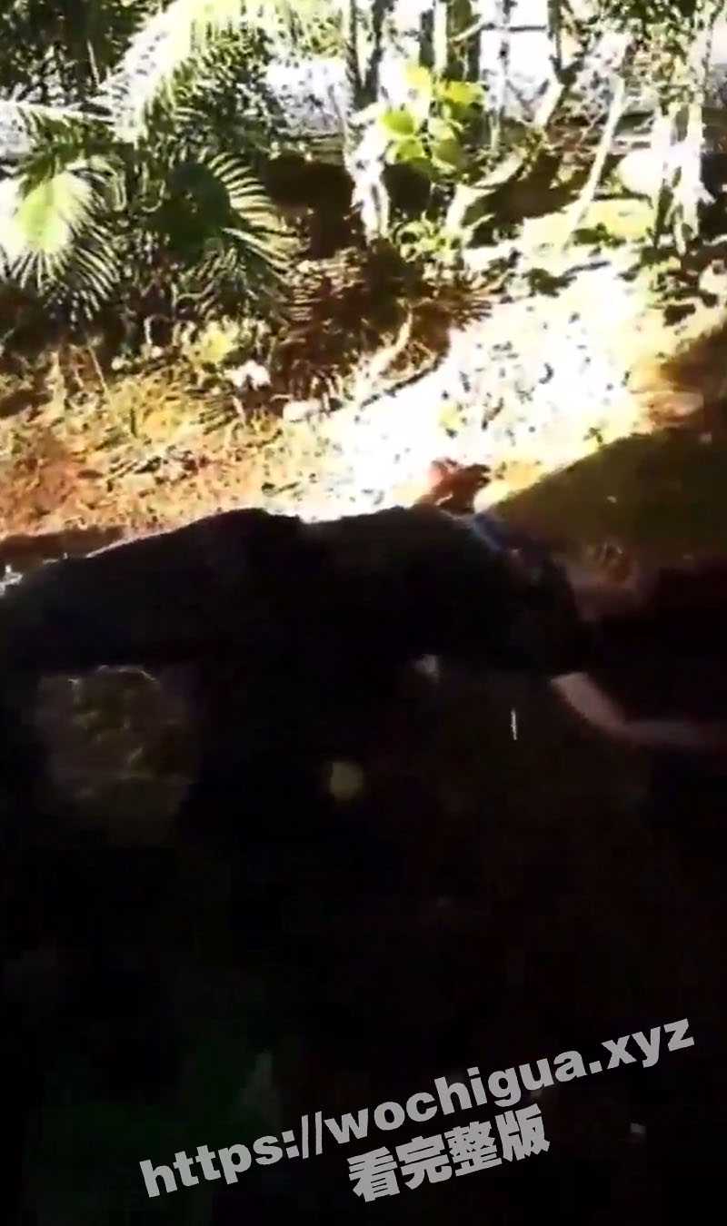 杀疯了！巴西一位养牛农场老人2年内被同一团伙入室抢劫4次后忍无可忍举枪开火团灭对方 - 51吃瓜网-51吃瓜网