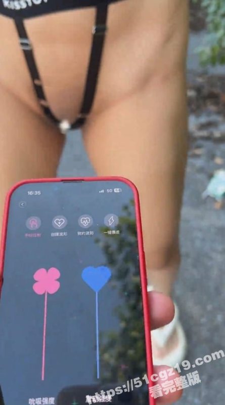 广东顶级骚妻母狗 辞书 被老公带去户外露出调教 手机遥控跳蛋震动无毛骚穴！-51吃瓜网