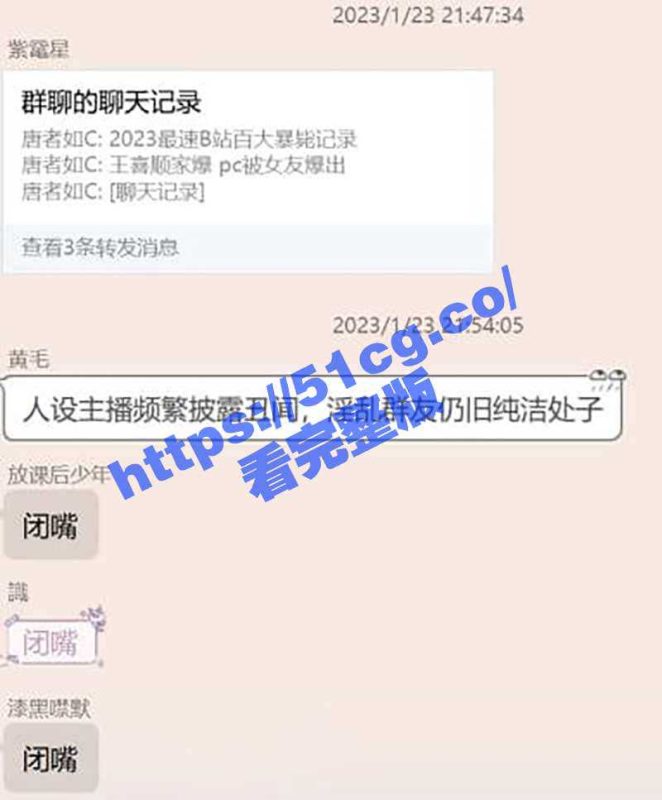 B站百大主播 CSGO王喜顺 家暴嫖娼被女友曝光 （附录音聊天记录）-51吃瓜网