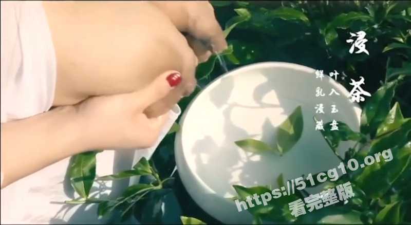 真正的奶茶是如何制作的？今天一起走进茶园 看什么才是真正的奶茶！-51吃瓜网